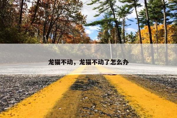 龙猫不动，龙猫不动了怎么办