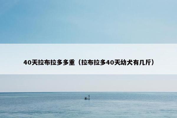 40天拉布拉多多重（拉布拉多40天幼犬有几斤）