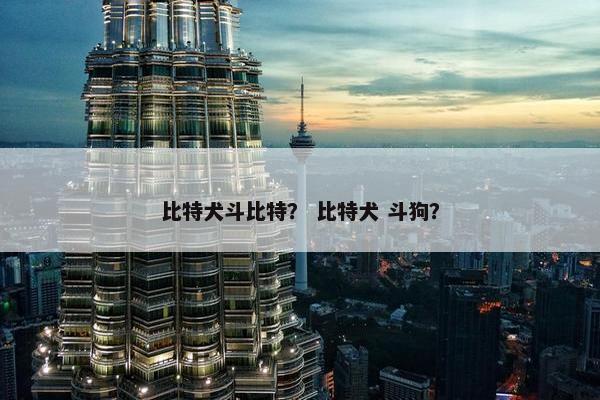 比特犬斗比特？ 比特犬 斗狗？