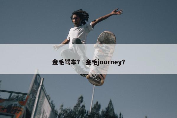 金毛驾车？ 金毛journey？