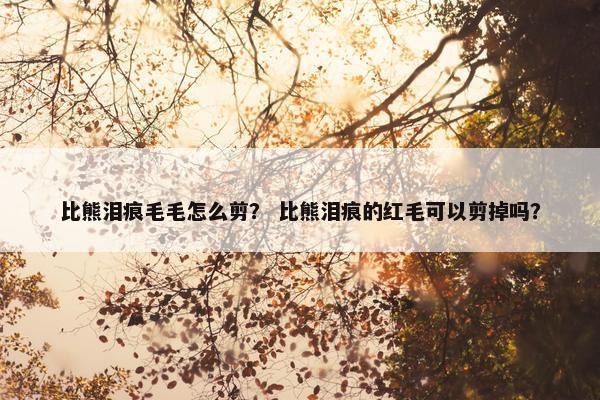 比熊泪痕毛毛怎么剪？ 比熊泪痕的红毛可以剪掉吗？