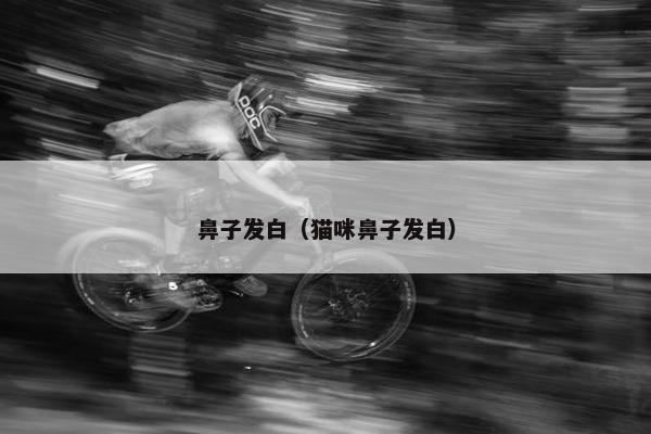 鼻子发白（猫咪鼻子发白）