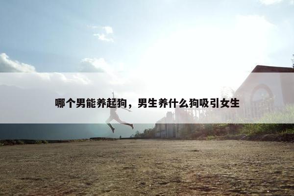 哪个男能养起狗，男生养什么狗吸引女生