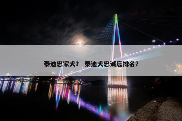 泰迪忠家犬？ 泰迪犬忠诚度排名？