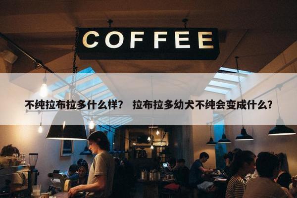 不纯拉布拉多什么样？ 拉布拉多幼犬不纯会变成什么？
