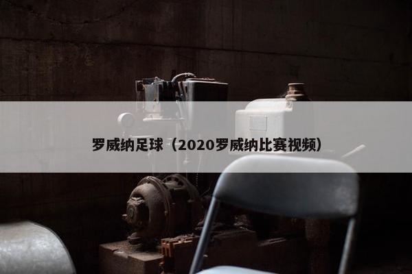 罗威纳足球（2020罗威纳比赛视频）