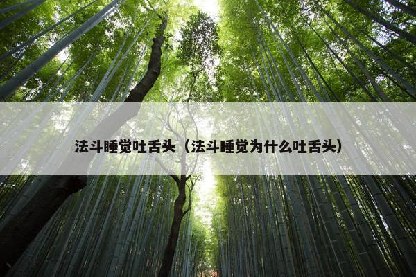 法斗睡觉吐舌头（法斗睡觉为什么吐舌头）