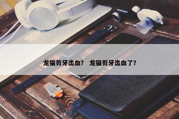 龙猫剪牙出血？ 龙猫剪牙出血了？