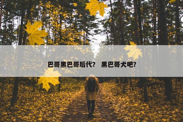 巴哥黑巴哥后代？ 黑巴哥犬吧？