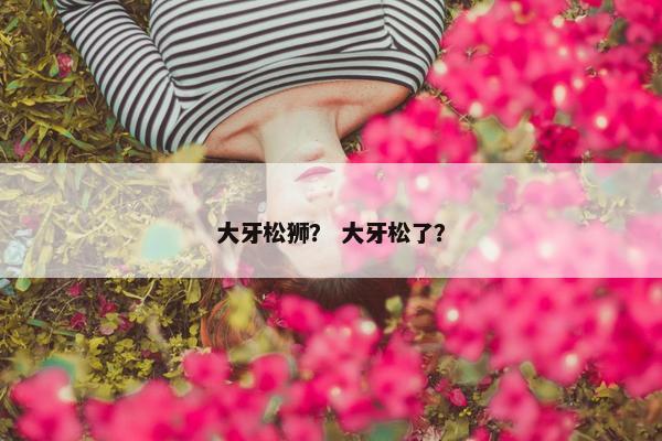大牙松狮？ 大牙松了？
