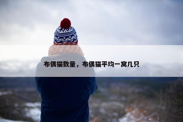 布偶猫数量，布偶猫平均一窝几只