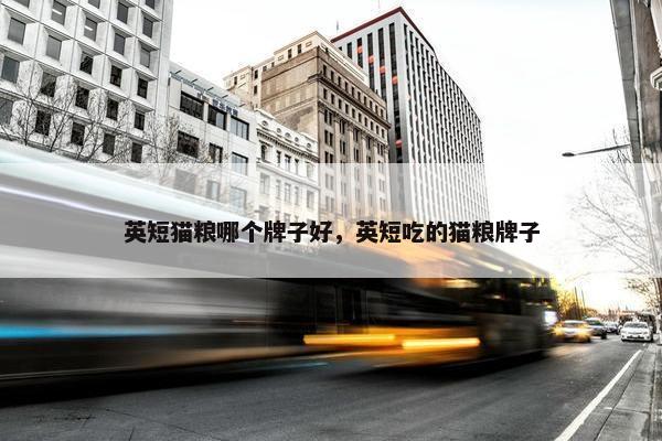英短猫粮哪个牌子好，英短吃的猫粮牌子