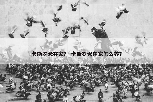 卡斯罗犬在家？ 卡斯罗犬在家怎么养？