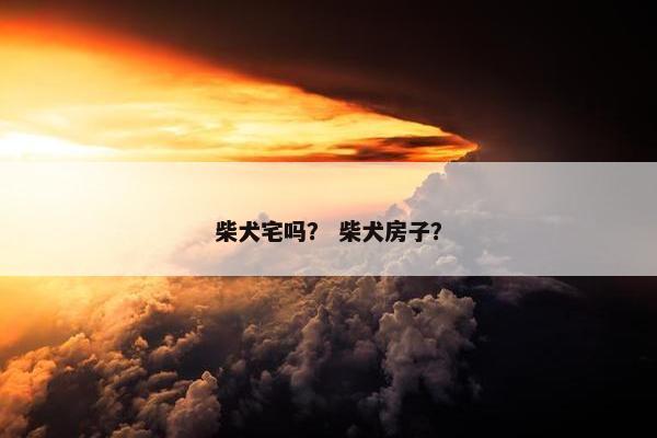 柴犬宅吗？ 柴犬房子？
