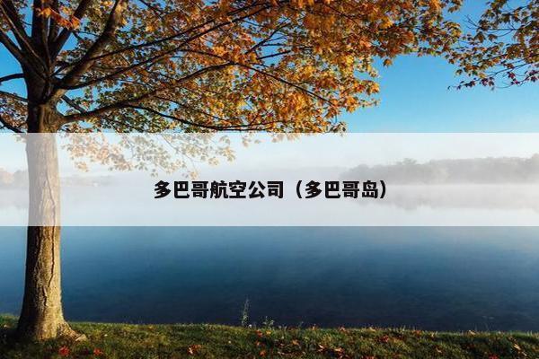 多巴哥航空公司（多巴哥岛）