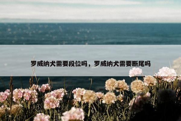 罗威纳犬需要段位吗，罗威纳犬需要断尾吗