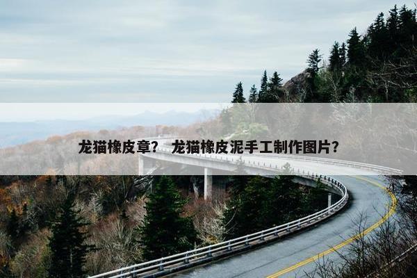 龙猫橡皮章？ 龙猫橡皮泥手工制作图片？