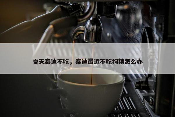 夏天泰迪不吃，泰迪最近不吃狗粮怎么办