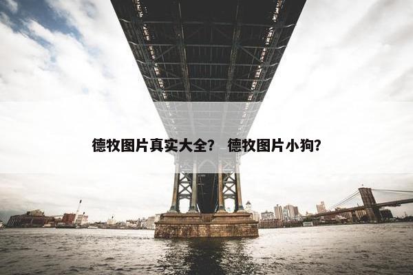 德牧图片真实大全？ 德牧图片小狗？