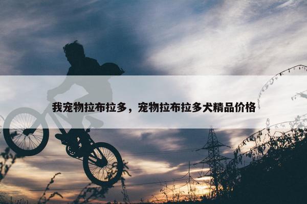 我宠物拉布拉多，宠物拉布拉多犬精品价格