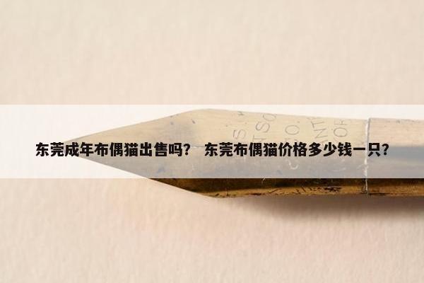 东莞成年布偶猫出售吗？ 东莞布偶猫价格多少钱一只？