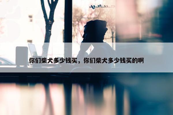 你们柴犬多少钱买，你们柴犬多少钱买的啊