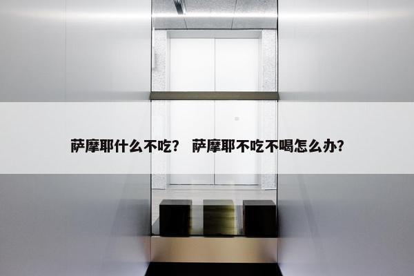 萨摩耶什么不吃？ 萨摩耶不吃不喝怎么办？