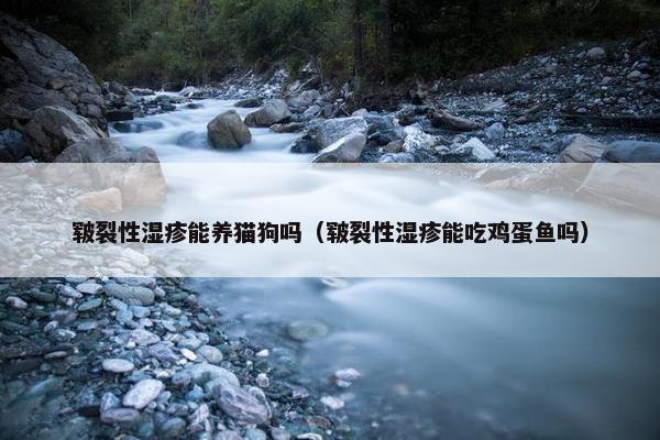 皲裂性湿疹能养猫狗吗（皲裂性湿疹能吃鸡蛋鱼吗）