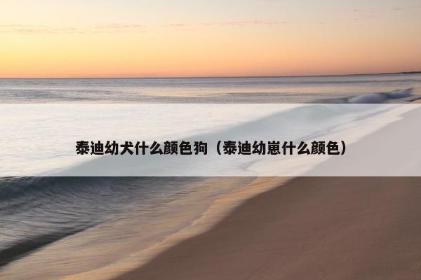泰迪幼犬什么颜色狗（泰迪幼崽什么颜色）