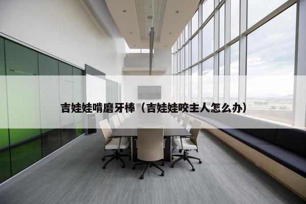 吉娃娃啃磨牙棒（吉娃娃咬主人怎么办）