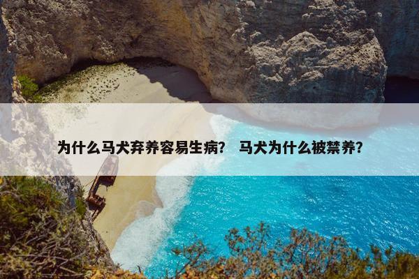为什么马犬弃养容易生病？ 马犬为什么被禁养？
