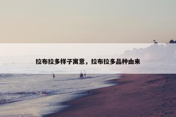 拉布拉多样子寓意，拉布拉多品种由来
