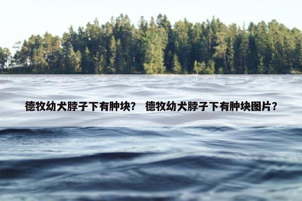 德牧幼犬脖子下有肿块？ 德牧幼犬脖子下有肿块图片？