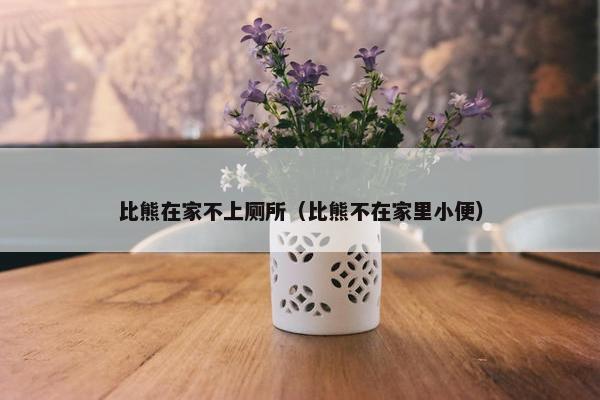 比熊在家不上厕所（比熊不在家里小便）