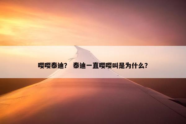 嘤嘤泰迪？ 泰迪一直嘤嘤叫是为什么？