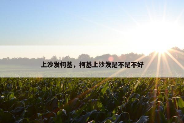 上沙发柯基，柯基上沙发是不是不好