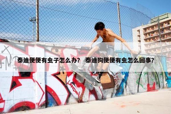 泰迪便便有虫子怎么办？ 泰迪狗便便有虫怎么回事？