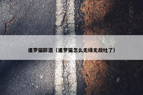 暹罗猫醉酒（暹罗猫怎么无缘无故吐了）