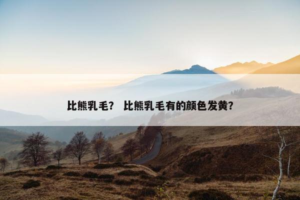 比熊乳毛？ 比熊乳毛有的颜色发黄？