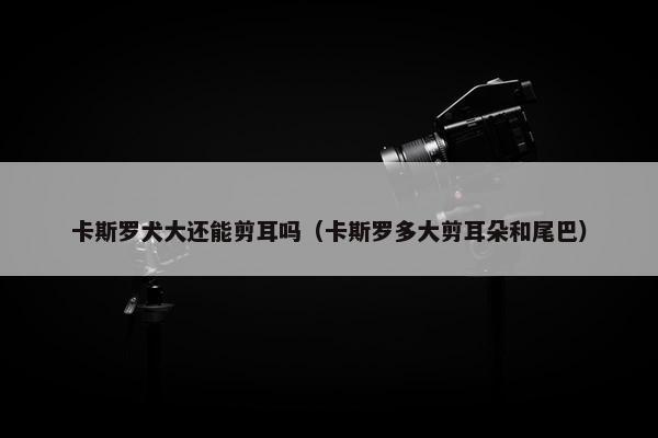 卡斯罗犬大还能剪耳吗（卡斯罗多大剪耳朵和尾巴）