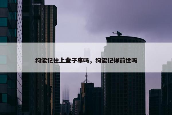 狗能记住上辈子事吗，狗能记得前世吗