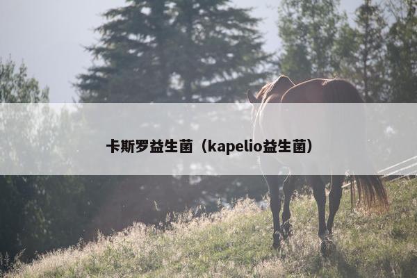 卡斯罗益生菌（kapelio益生菌）