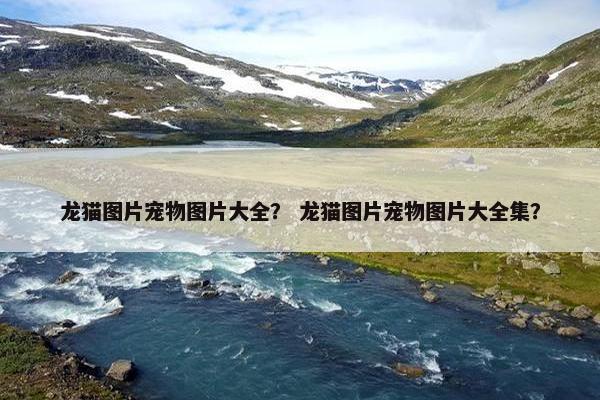 龙猫图片宠物图片大全？ 龙猫图片宠物图片大全集？