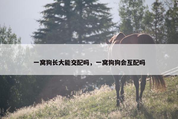 一窝狗长大能交配吗，一窝狗狗会互配吗