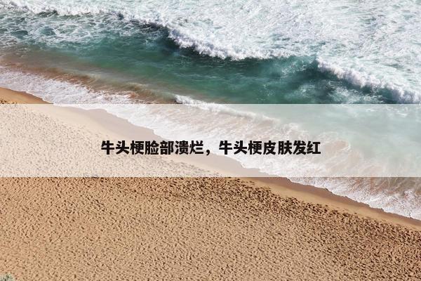 牛头梗脸部溃烂，牛头梗皮肤发红