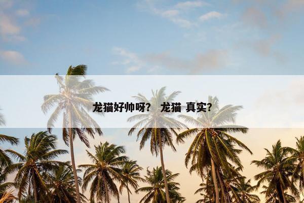 龙猫好帅呀？ 龙猫 真实？