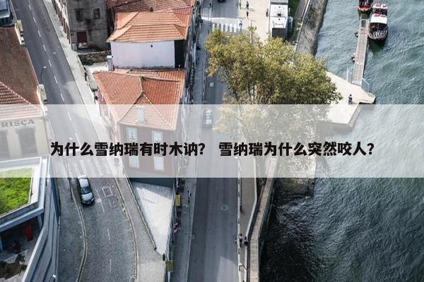 为什么雪纳瑞有时木讷？ 雪纳瑞为什么突然咬人？