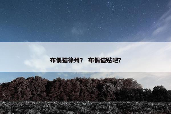 布偶猫徐州？ 布偶猫贴吧？