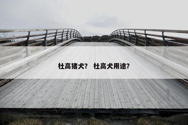杜高猪犬？ 杜高犬用途？