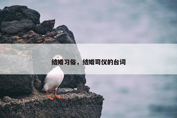 结婚习俗，结婚司仪的台词